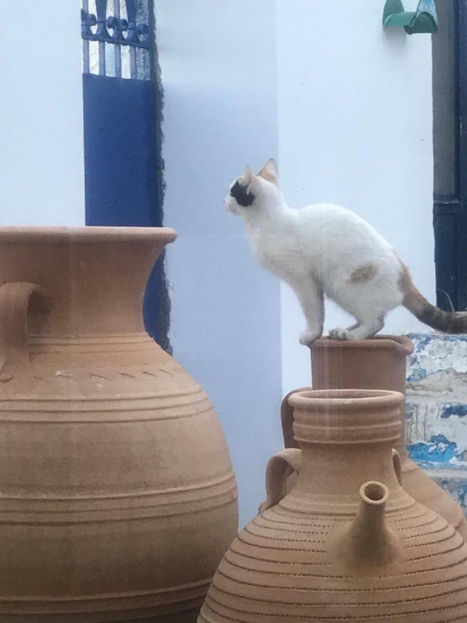 Villa Casa Laryssiou Gythio Esterno foto